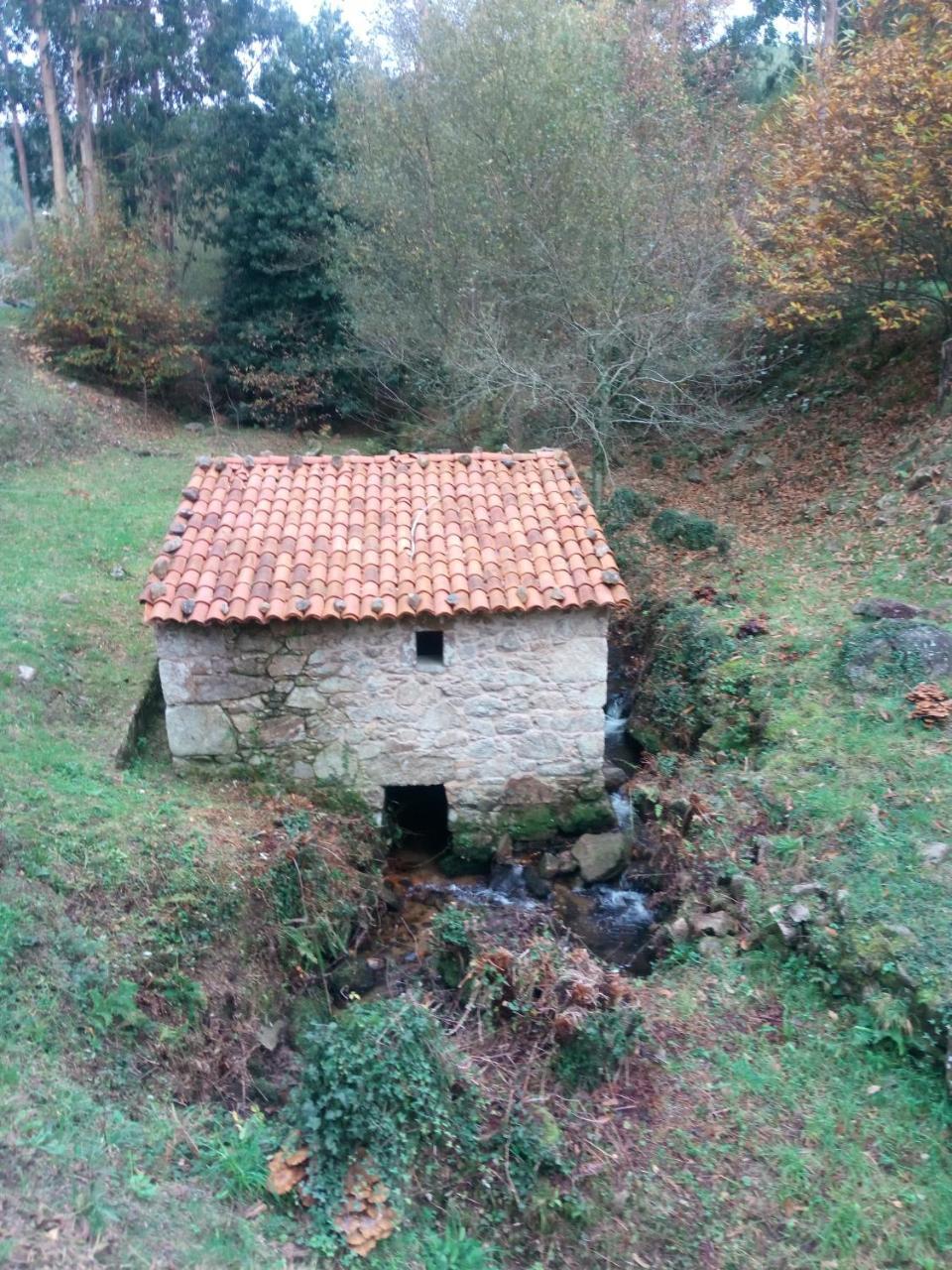 Mar Y Montana Casa de hóspedes Ferrol Exterior foto